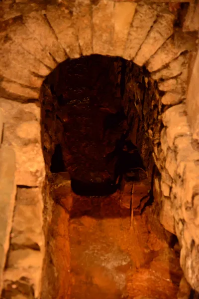 DSC_2641 (Large).JPG